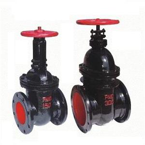 Cast iron gate valve